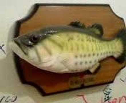 Youtube: Singing Fisch... Don´t worry be Happy