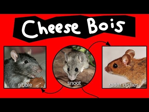 Youtube: Cheese Bois