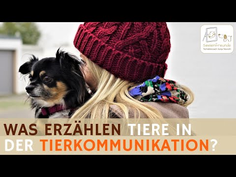 Youtube: Tierkommunikation: Was Tiere über ihre Menschen erzählen (Podcast #70)