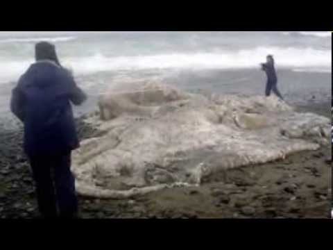Youtube: Amazing "Dragon" Footage (REAL Monsters & Demons?)