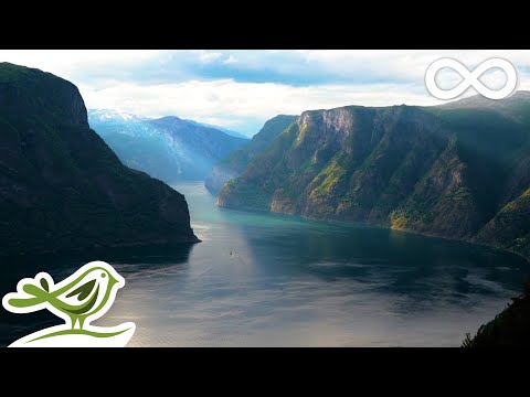 Youtube: Beautiful Relaxing Music • Norwegian Nature & Violin, Flute, Piano & Harp Music