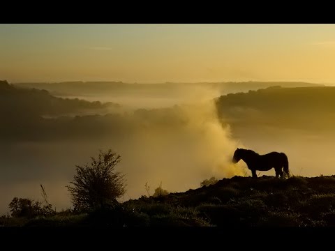 Youtube: Solsbury Hill by Peter Gabriel in 1080p HD