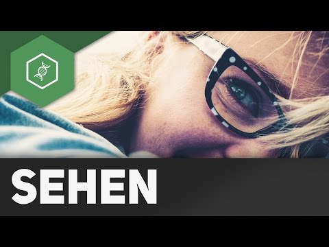 Youtube: Wie sehen wir?!