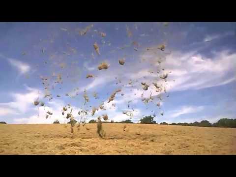 Youtube: Dust Devil Blows Hay Into the Air in West Sussex