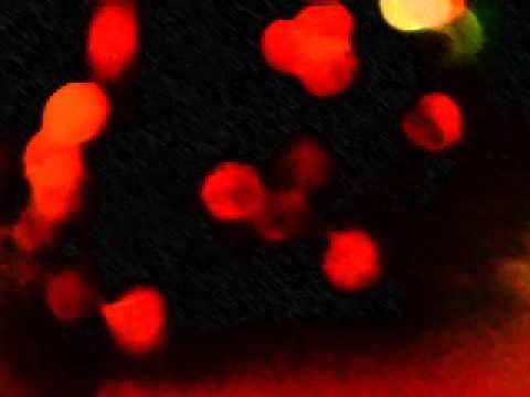 Youtube: Mogwai - I Know You Are But What Am I