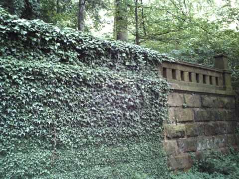 Youtube: Die Waldgrabstätte Halle (Westfalen) Friedhof