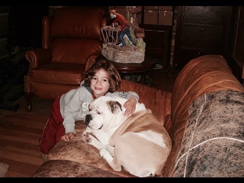 Youtube: Cute Little Boy Kisses English Bulldog