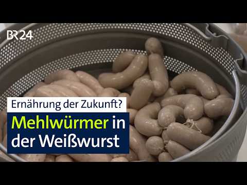 Youtube: Forschung an Weißwürsten mit Mehlwürmern | Abendschau | BR24
