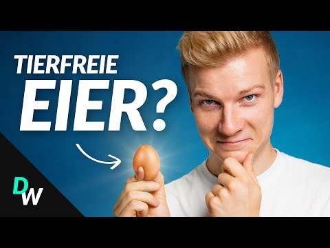 Youtube: Warum Eier in Zukunft vegan werden könnten