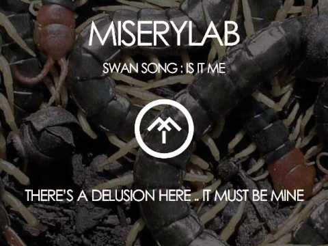 Youtube: miserylab : swan song : is it me