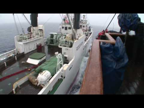 Youtube: Operation Musashi - Sea Shepherd Confronts the Kaiko Maru  - 豪州南極海領海