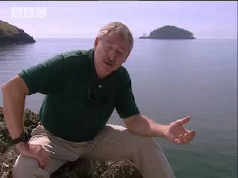 Youtube: Fearing the future - Mega Tsunami - BBC