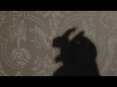 Youtube: Florence Road - Rabbits Can Swim