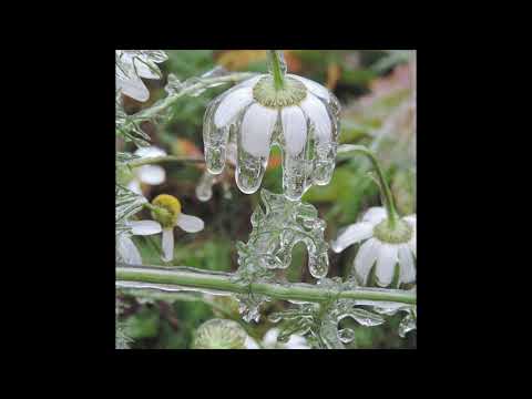 Youtube: nthng - Earthseed [TAR10]