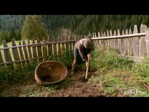 Youtube: Leben am Abgrund in Südtirol   Teil 2von2 (geosfilm)