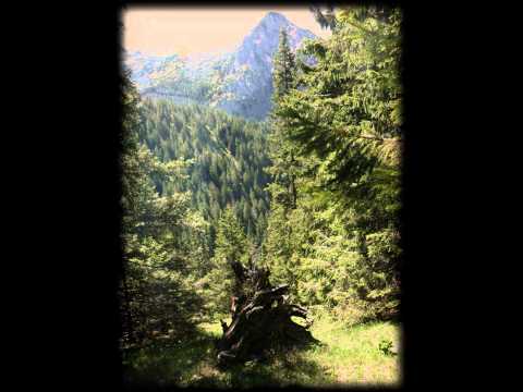 Youtube: Falkenstein - Sonnenwende  ( Solstice )