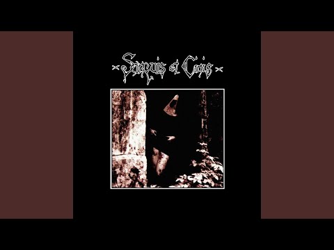 Youtube: Das gläserne Zimmer