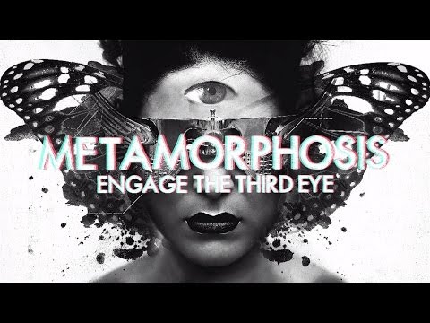 Youtube: InsideInfo - Metamorphosis (feat. Miss Trouble) (Lyric Video)