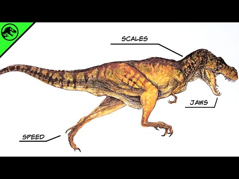 Youtube: How Scientifically Accurate Is The Jurassic Park T.Rex?
