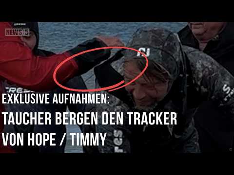 Youtube: Exklusive Aufnahmen: Taucher bergen den Tracker von Buckelwal Hope