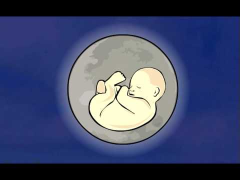 Youtube: Hijo de la Luna /  The Son of the Moon (Animation)