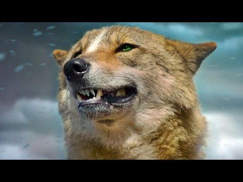 Youtube: DER LETZTE WOLF | Trailer [HD]