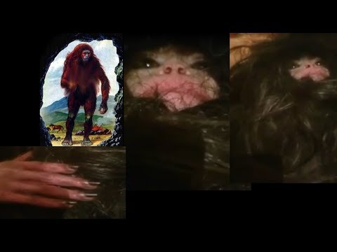 Youtube: Is this a BABY BIGFOOT? TROLL? MONKEY? RUSSIAN ALMASTY? Cryptid Captured