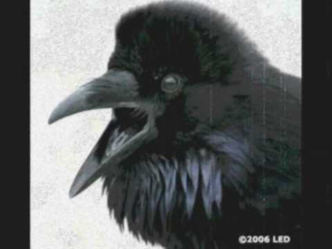 Youtube: Alan Parsons Project The Raven