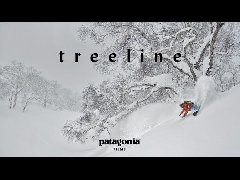 Youtube: Treeline | The Secret Life of Trees | Patagonia Films