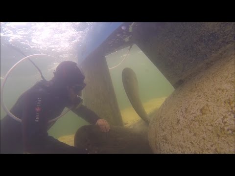 Youtube: Research Submarine "Euronaut" - Cleaning the propeller shaft. Germany - september 2015
