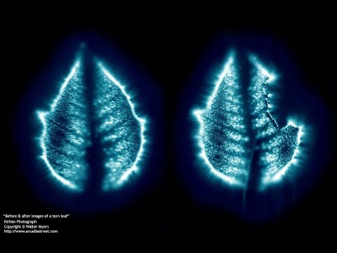 Youtube: Kirlian Photography - Orbs and auras