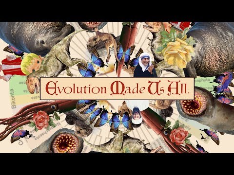Youtube: Evolution Made Us All