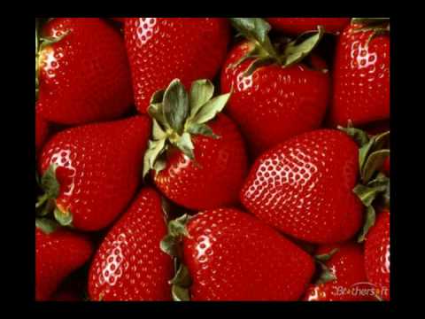 Youtube: Scooter - Summer Wine (+ lyrics)