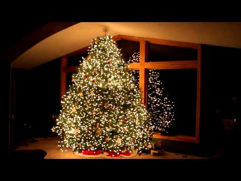 Youtube: Amazing Grace Christmas Tree Light Show - Techno - Wawra  2012 HD