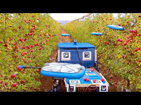 Youtube: Flying Fruit-Harvesting Drones / Flying Fruit Pickers