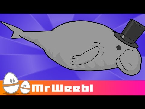Youtube: Dugong : animated music video : MrWeebl