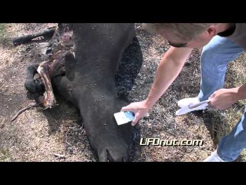 Youtube: UFOnut.com - Episode 009: Sanchez Cattle Mutilation 2011