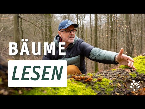 Youtube: Bäume lesen - Was Bäume uns erzählen können mit Peter Wohlleben