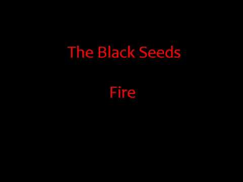 Youtube: The Black Seeds - Fire