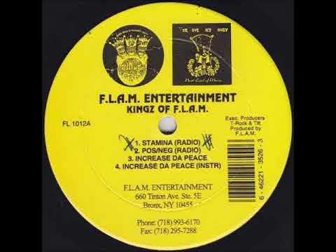 Youtube: Kingz Of F.l.a.m. - Pos/Neg