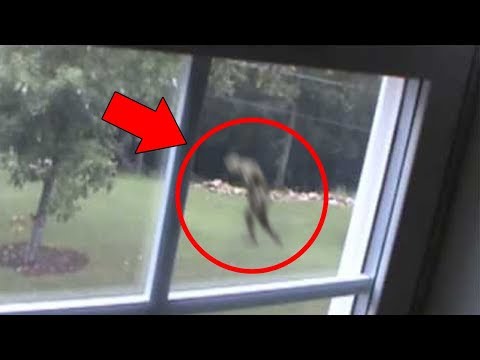 Youtube: 5 Mysterious Creatures Caught on Tape : Top 5 STRANGE Creatures