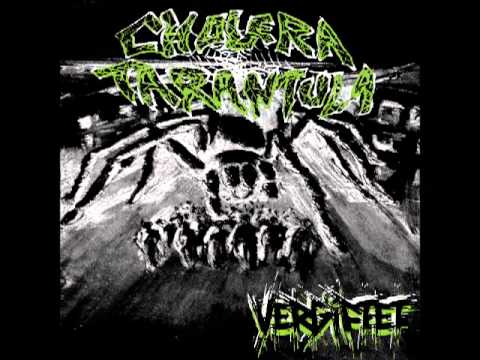 Youtube: Cholera Tarantula - Werte & Normen