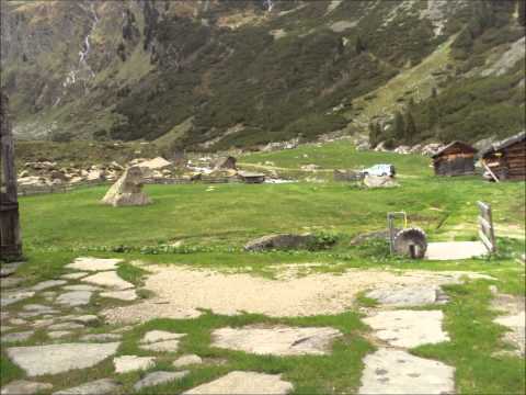 Youtube: Auf der Alm - Andreas Gabalier (Falbesoner Ochsenalm)