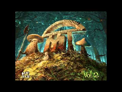 Youtube: Infected Mushroom - Friends On Mushrooms Vol. 2 [Full Album 2013] [HD]