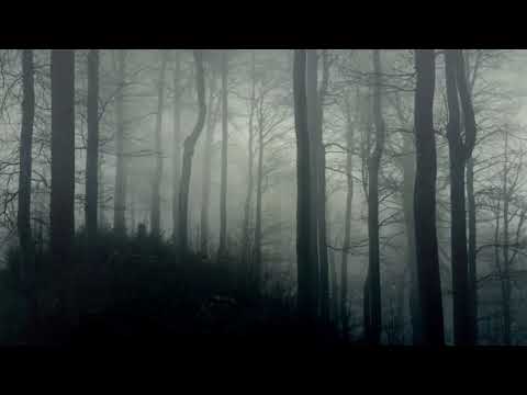 Youtube: Dark Ambience - Horror Background Music 10 Hours