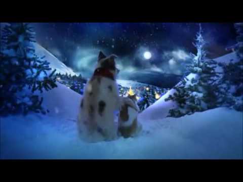 Youtube: Chris Norman Christmas Song