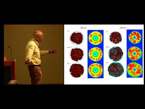 Youtube: Three-Dimensional Supernova Explosion Simulations - Adam Burrows