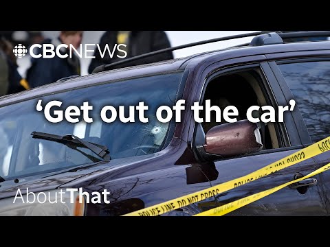Youtube: Self-defence? A breakdown of the fatal ICE shooting in Minneapolis | About That