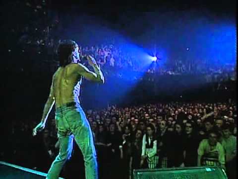 Youtube: Iggy Pop - The Passenger (Live in Paris)