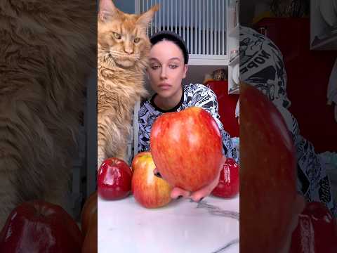 Youtube: что еще сделать с яблоками? #готовка #рецепты #пирог